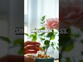 The Micro Manifest: A Fresh Five-Minute Calm for Busy Minds