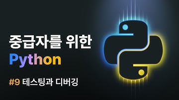 [중급자를 위한 Python] #9 테스팅과 디버깅