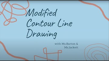 Modified Contour Drawing