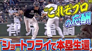 【“これぞプロ”の応酬】高部瑛斗『ショートフライで本塁生還』