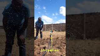 Sprinklers on.   #97farm #farmreels #FreshStart #kilimokwanza #kilimobiashara