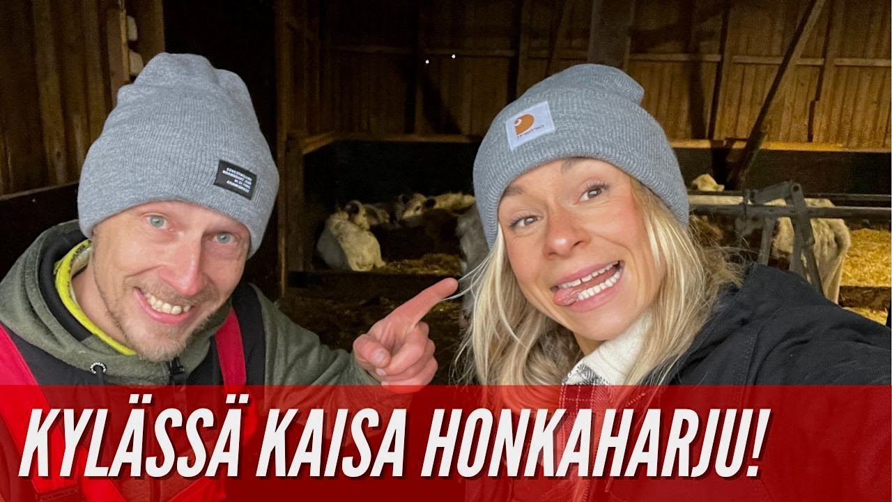 Somevaikuttaja Kaisa Honkaharju kylässä – Navettahommia ja uusi Pinkki navetta!