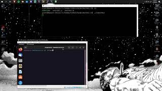 Computer Networks Programming Assignment 1 Demo
