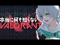 【VALORANT】はじめてのばろらんとっ！！がんばる！！【あすた/メメントリ】