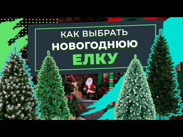 Магазин Порядок Видео Магазин Порядок Видео