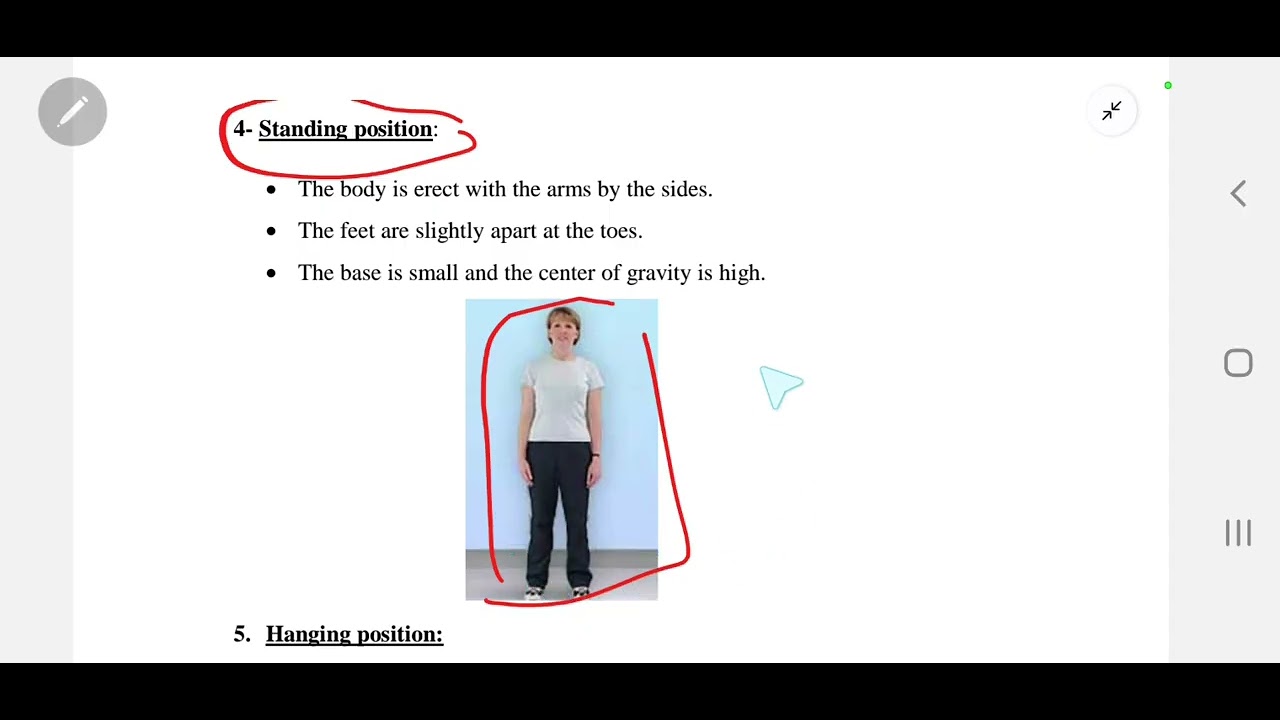 Fundamental and derived positions - principles of physiotherapy 