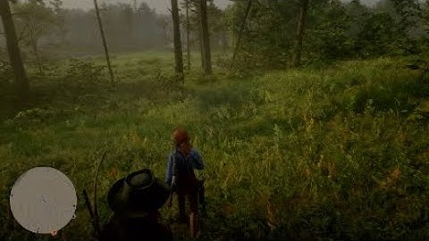 Falling through map in Red Dead Online