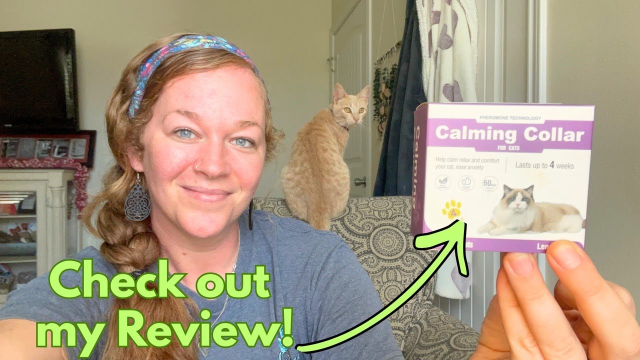 Super effective calming collars for cats! - YouTube