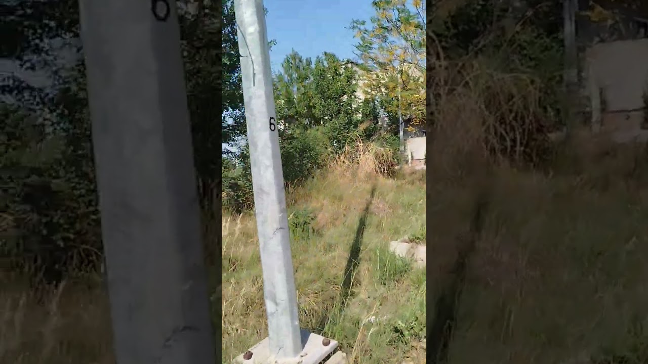 HORTICULTURE AND GARDENING |   