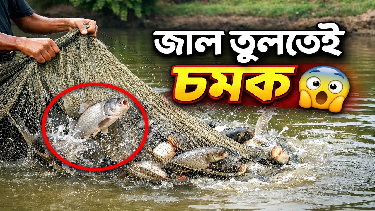 গ্রামীন দিঘি থেকে জাল টেনে মাছ ধরার বাস্তব দৃশ্য 🐟 | Village Pond Fishing | Sowdagor Fish World