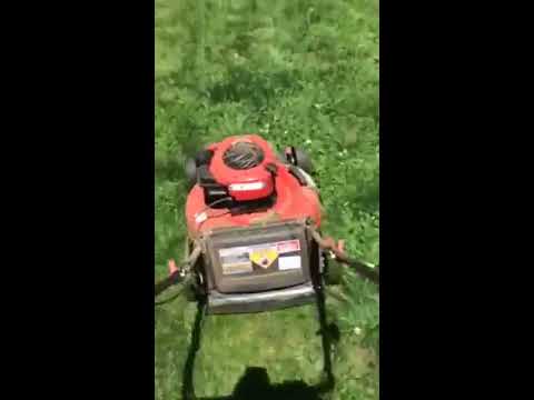 dog whisperer tips Here it is, your moment of Zen