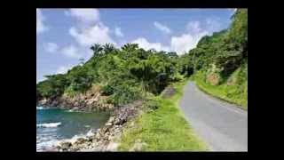 Norman Brown Up N At Em