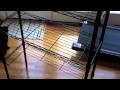How to Build a Treadmill Desk.Cheap, Fast, Easy. How to Build a Treadmill Desk.Cheap, Fast, Easy.