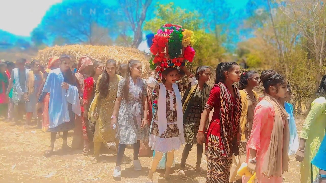 આદિવાસી લગન જાન વિડિઓ 2024 | Tava Jaan video 2024 | Adivashi Lagan Dance Video 2024