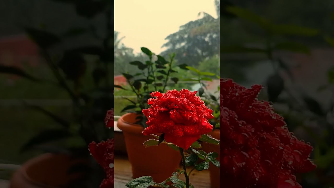 MY EDITING WORK 2