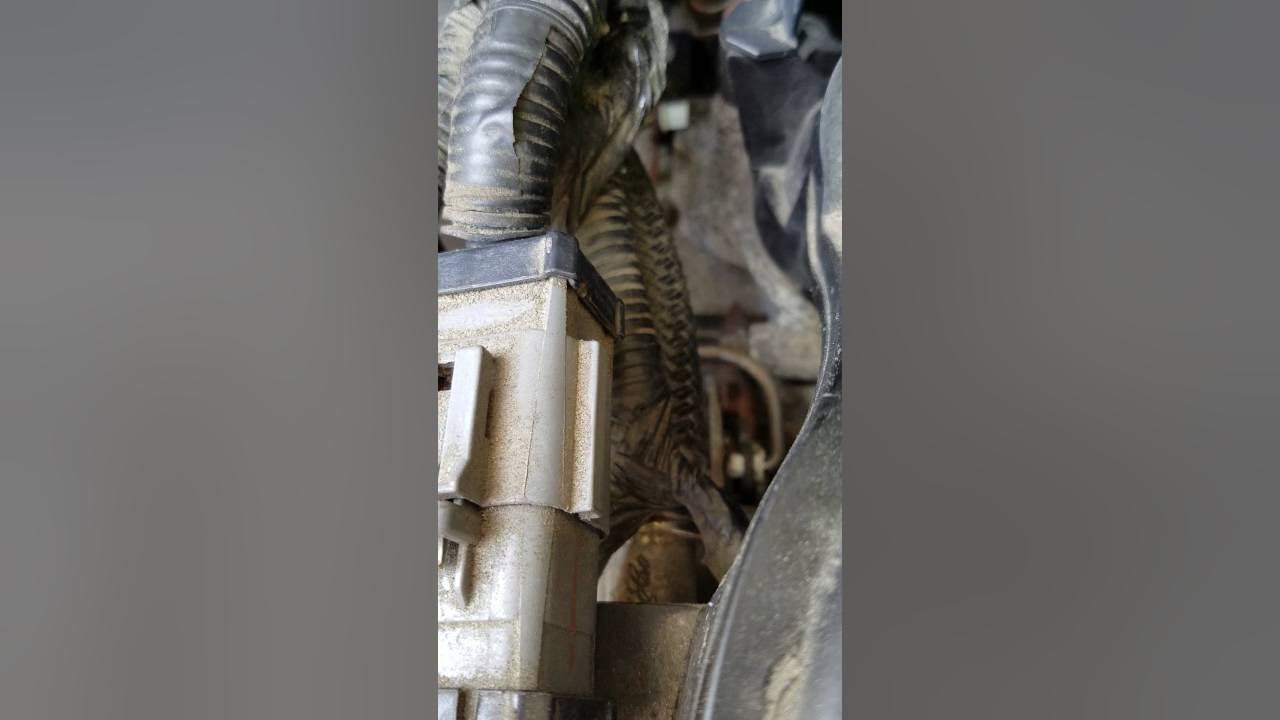 2005 Ford Freestar not your wet PCM or vacuum leak - YouTube
