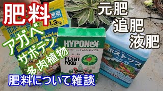 【肥料】アガベ・サボテン・多肉植物 肥料は必要？何使う？ 肥料について【雑談】【園芸】