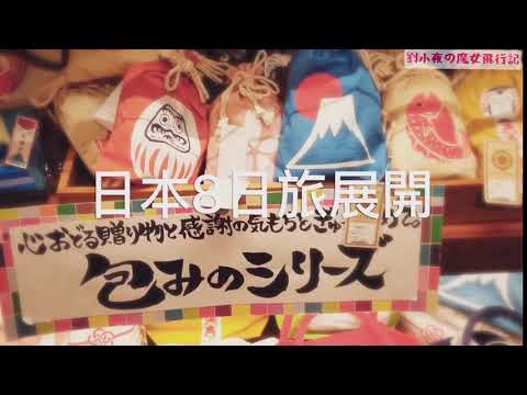 （旅遊好物推薦）「FUN遊卡。無限上網漫遊吃到飽不降速超值SIM網卡」日本旅遊超值推薦