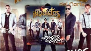 Los Inquietos Del Norte - Maldito Amor (Audio Oficial)