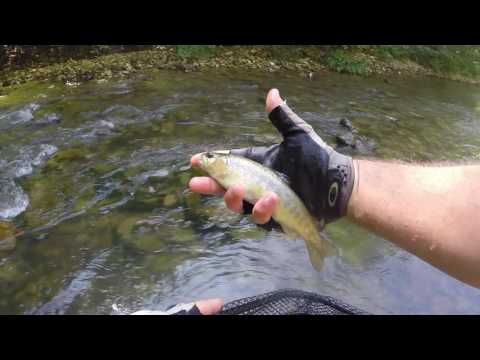 პატარუკები. კალმახი რაჭაში. Горная форель на спининг.