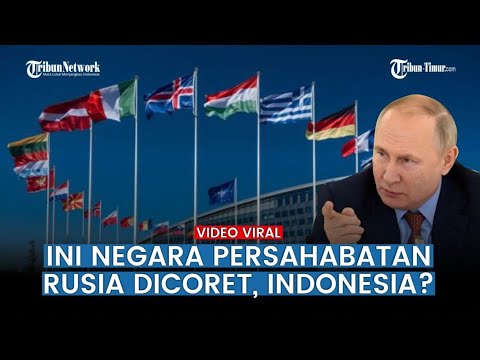 Video: Pandangan manakah yang dilakukan oleh golongan federalis?