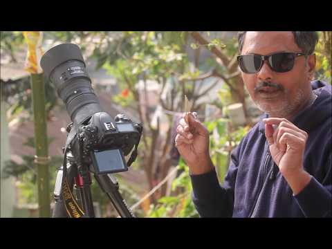 How to capture Annular Solar Eclipse  / A video tutorial  by Subhamoy Bhattacharjee