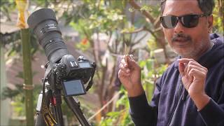 How to capture Annular Solar Eclipse  / A video tutorial  by Subhamoy Bhattacharjee