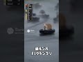 猫ルンバF1グランプリ #猫 #ルンバ #F1グランプリ#猫動画 #shorts #cats