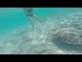 turtle dive gili islands