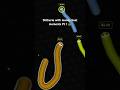 Slitherio best moments #slitherio #slithergameplay
