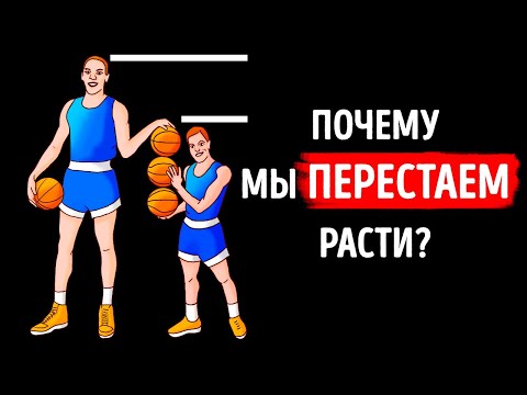 Видео: Почему в армии важен рост?