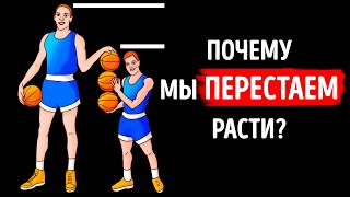 видео: Вот что ограничивает наш рост картинка: Вот что ограничивает наш рост