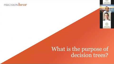 Introduction to Decision Tree Models (PRECISIONheor)