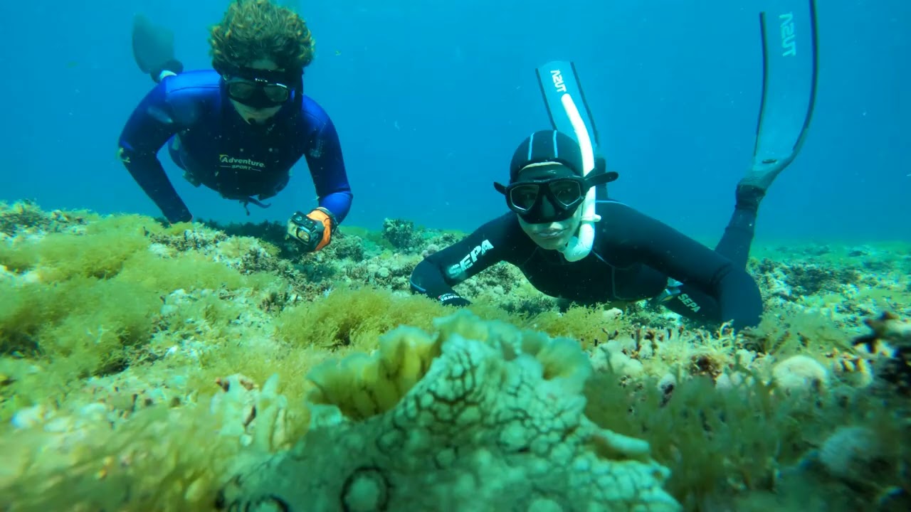 2026 3 6 ווידאו ים איי אכזיב