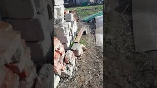 Продаётся дом в Каневском районе хуторе Сладкий Лиман с выходом в реку. Цена 1700000 тел 89891407510