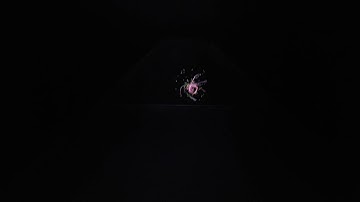 Hologram Audio Visualizer