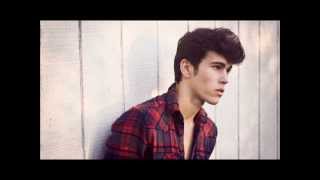 Video thumbnail of "max schneider - This Smiles For You"