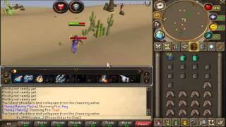 Desert Lizards, Mystic Gloves, Money Making Guide? NO.
