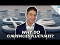 What causes currencies to rise and fall  fx 101 finance explained