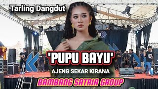 Pupu Bayu - Voc. Ajeng Sekar Kirana - Tarling Dangdut BAMBANG SATRIA group - Live purwadadi