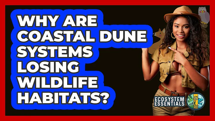 Why Are Coastal Dune Systems Losing Wildlife Habitats? - Ecosystem Essentials