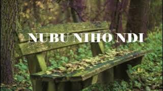 Nubu Nihondi  James & Daniella (official video lyrics)