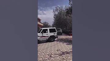ربع 2024 2023 تطعيس 
