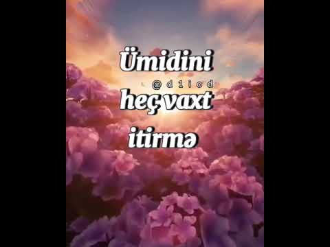 WhatsApp üçün yeni video və mahnı 2021 mp3 ‎@Novruz Heziyev 