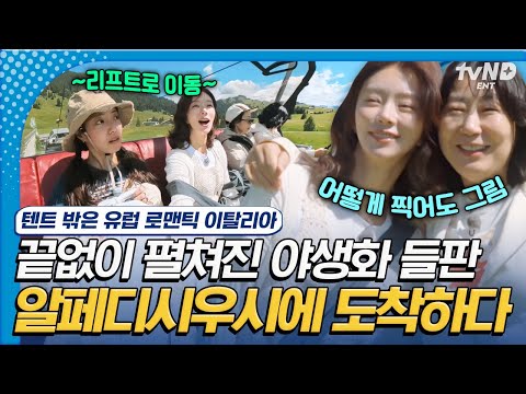 눈앞에 펼쳐진 유럽 최대 고원🌼 걷기만 해도 알프스 소녀 하이디가 돼…🌿  #텐트밖은유럽로맨틱이탈리아