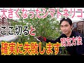 【失敗がなくなる剪定】大きくなったシマトネリコを小さくする方法を実践で解説します。【ガーデニング】【造園】【伐採】
