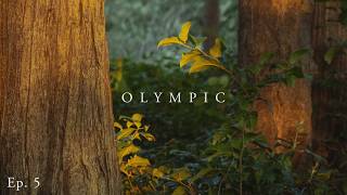 Travel Photography Location Scouting on Washington's Olympic Peninsula by Brian Lackey 487 views 9 months ago 5 minutes, 3 seconds