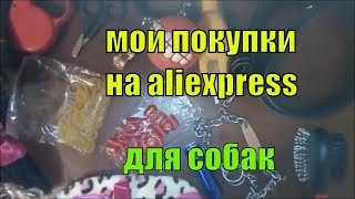 Товары для собак с алиэкспресс. Обзор