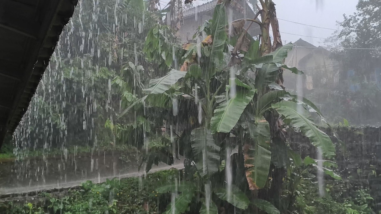 EXTREME Heavy Rain on a Tin Roof | Brain OFF, Sleep Takes Over in Minutes 🌧️