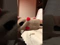 【フルート】初心者が入門テキストだけで名曲を吹けるようになるまで 3日目〜心が折れるの巻〜【Flute Progress】
